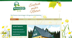 Desktop Screenshot of pension-kammloipe.de